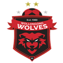 Wollongong Wolves FC
