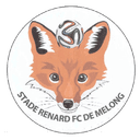 Stade Renard