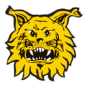 Ilves/2