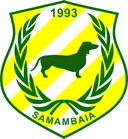 Samambaia BR